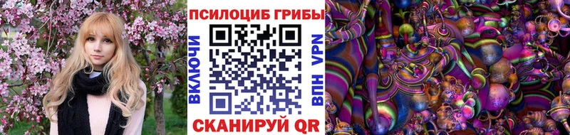 блэк спрут зеркало  Кунгур  Псилоцибиновые грибы Cubensis 