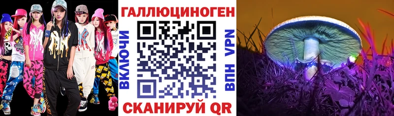Галлюциногенные грибы Magic Shrooms Кунгур